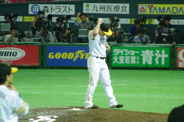 IMGP2882 (1024x680)