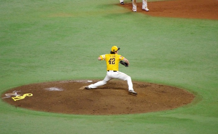 IMGP2683 (1024x631)