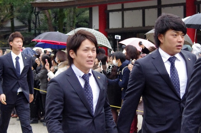 IMGP7390 (1024x680)