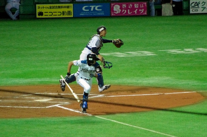 IMGP4889 (1024x680)