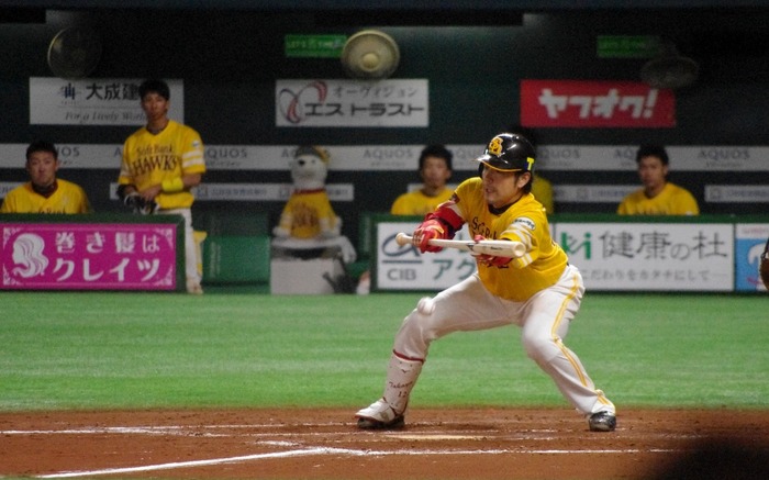 IMGP1130 (1024x639)
