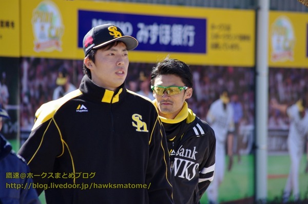 IMGP4076 (1280x850)