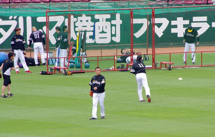 IMGP8439 (1280x819)