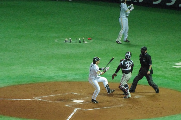 IMGP6782 (1280x850)