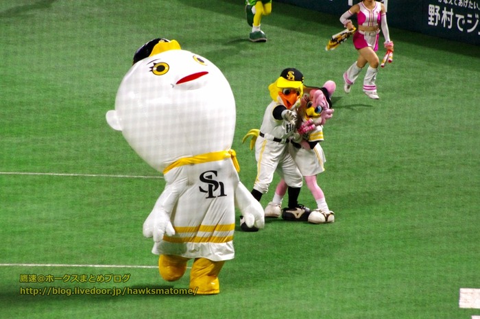 IMGP4723 (1280x850)