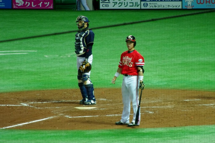 IMGP9345 (1280x850)