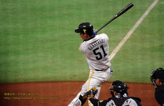 IMGP0112 (1280x826)
