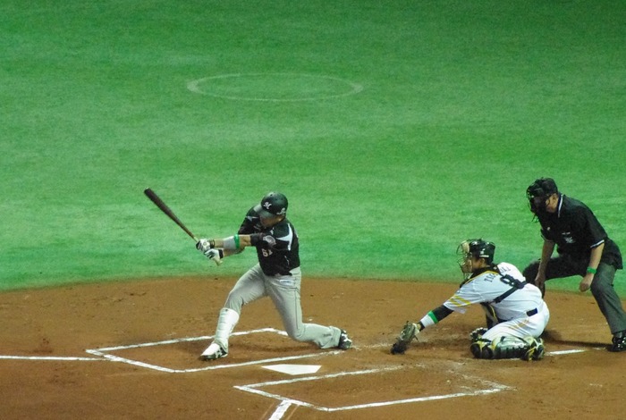 IMGP6658 (1280x860)