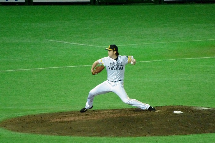 IMGP4556 (1024x680)