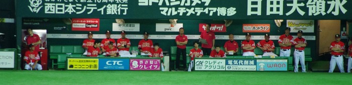 IMGP0595 (1280x309)