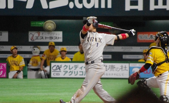 IMGP1048 (1024x624)