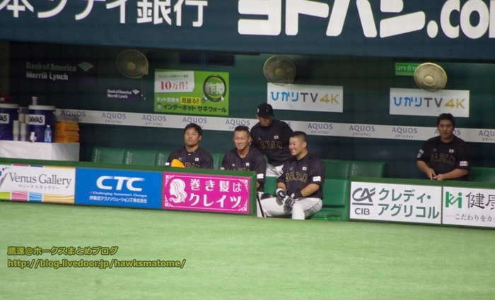 IMGP6142 (1024x622)