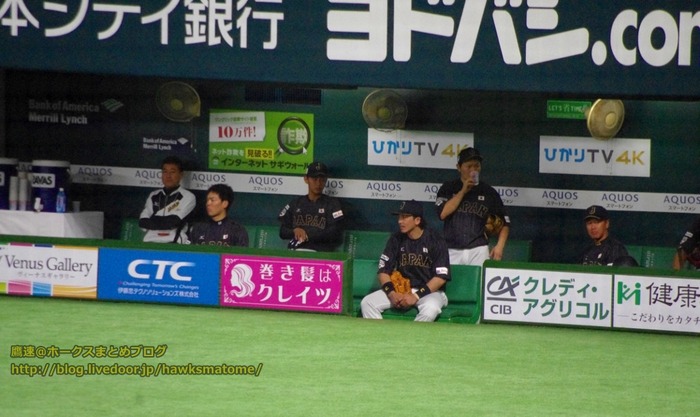IMGP5575 (1024x610)