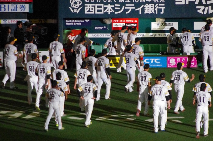 IMGP6593 (1280x850)