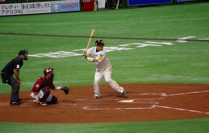 IMGP3201 (1024x653)