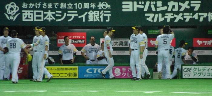 IMGP2648 (1024x462)