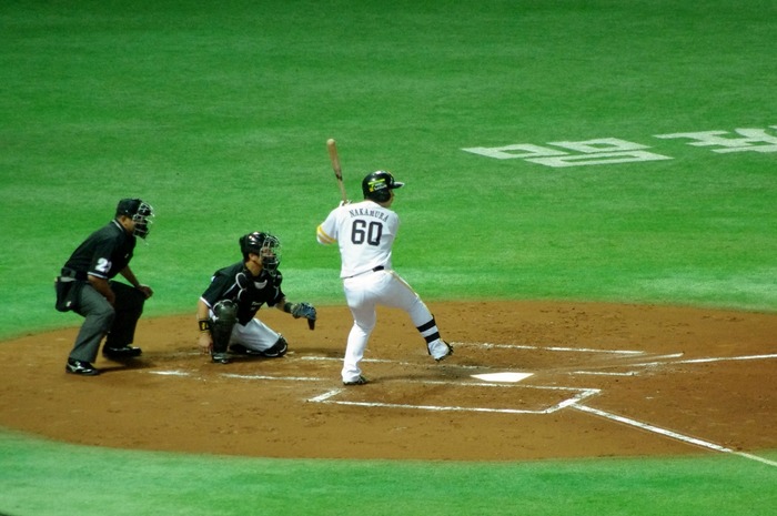 IMGP3460 (1024x680)