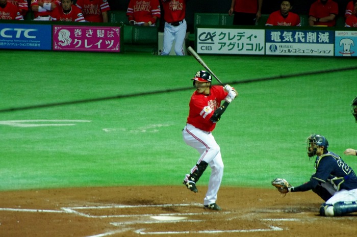 IMGP9222 (1280x850)