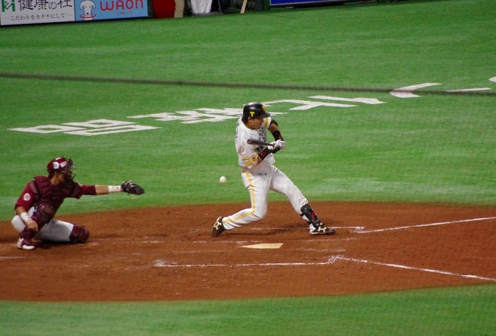 IMGP3253 (1024x694)