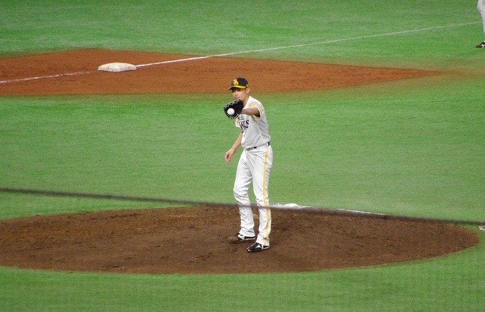 IMGP3272 (1024x659)
