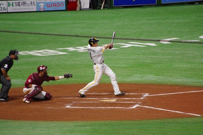 IMGP3320 (1024x683)
