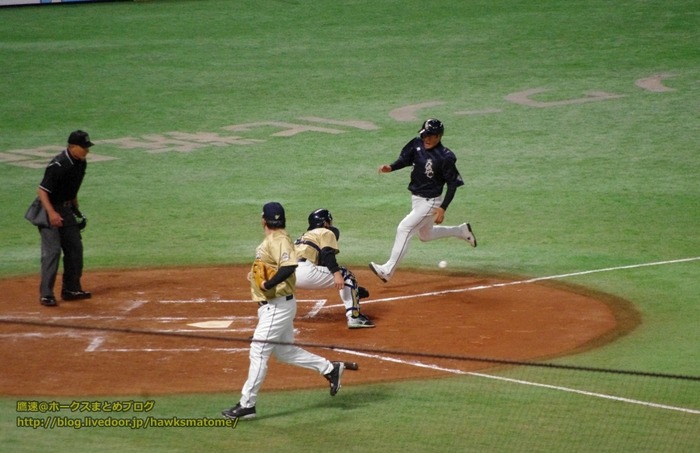 IMGP8646 (1024x663)