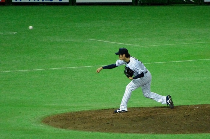 IMGP4789 (1024x680)