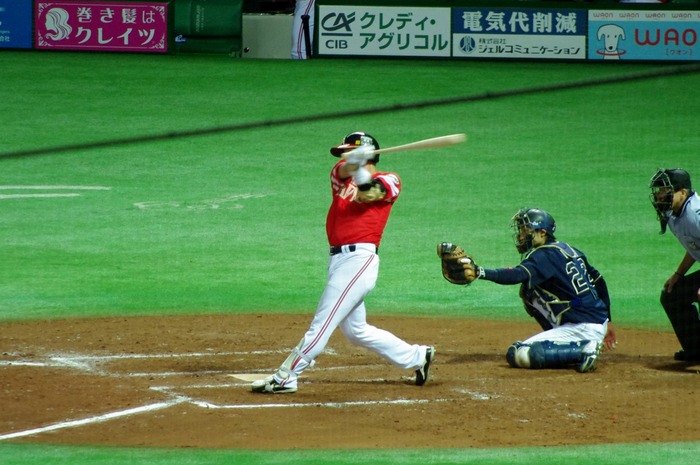 IMGP9547 (1280x850)