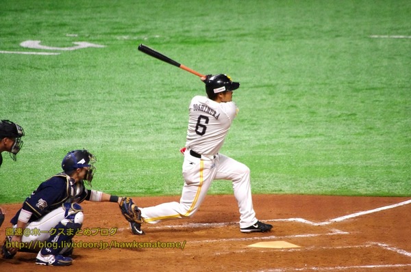 IMGP2350 (1280x850)