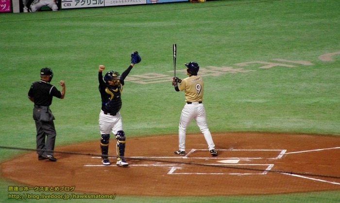IMGP8288 (1024x613)
