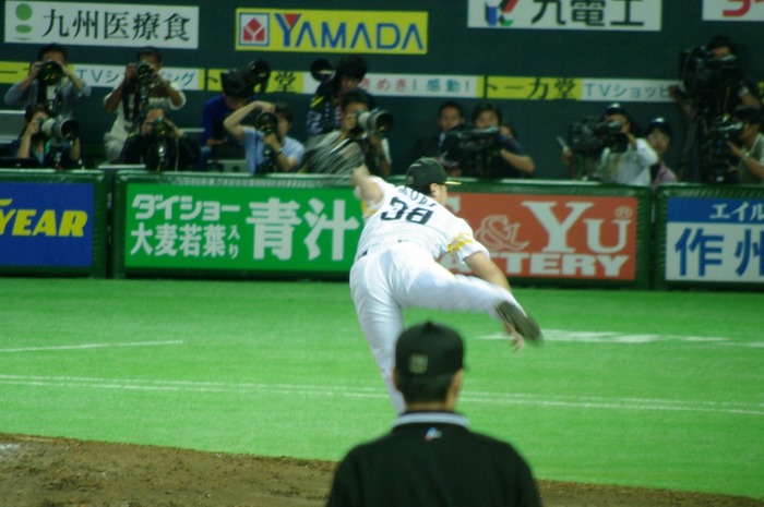 IMGP2887 (1024x680)