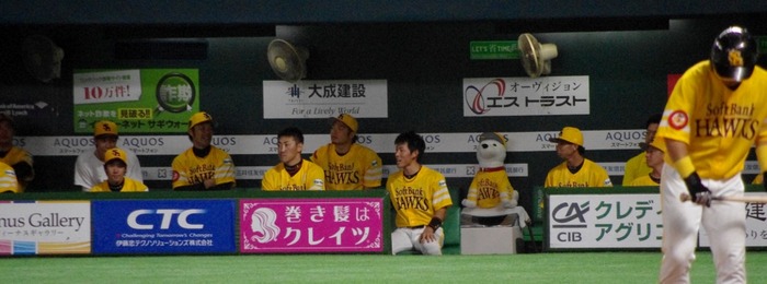 IMGP1244 (1024x380)