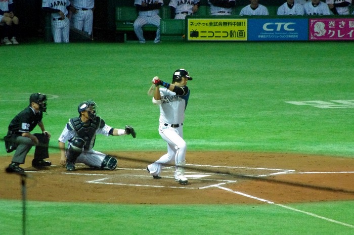 IMGP4429 (1024x680)