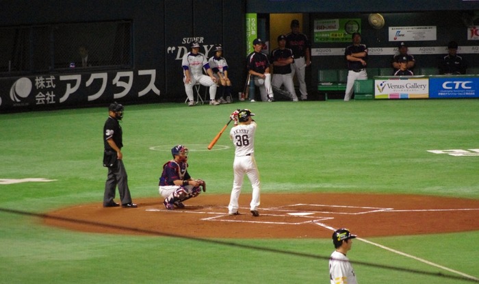 IMGP4854 (1024x607)