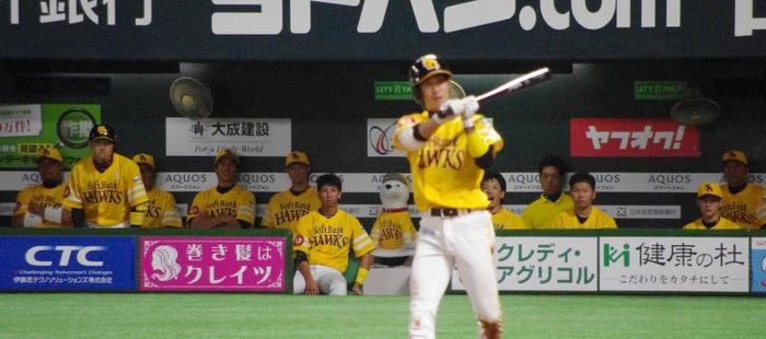 IMGP0979 (1024x454)