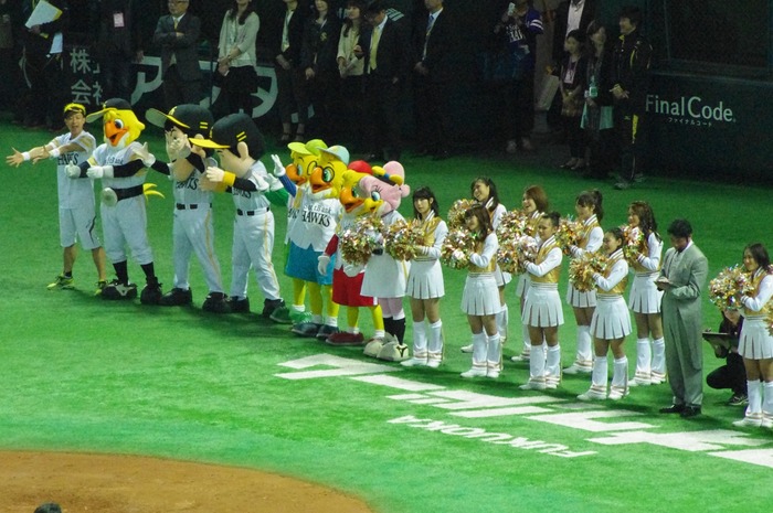 IMGP7045 (1280x850)