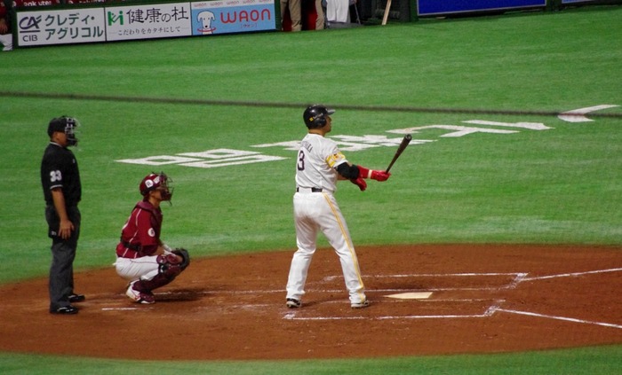 IMGP3156 (1024x619)