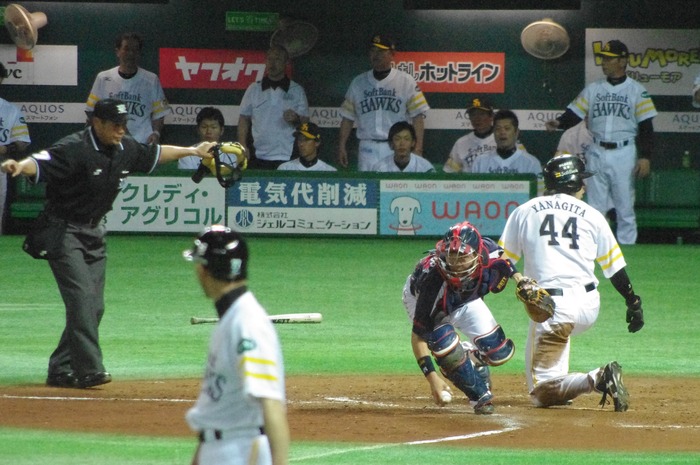 IMGP8195