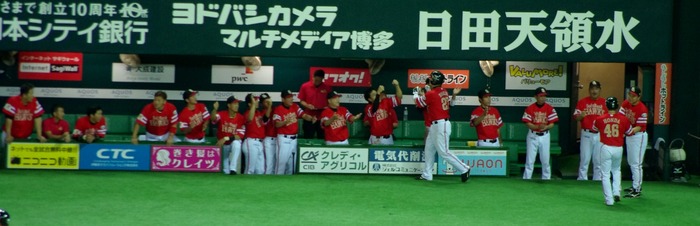 IMGP0695 (1280x413)