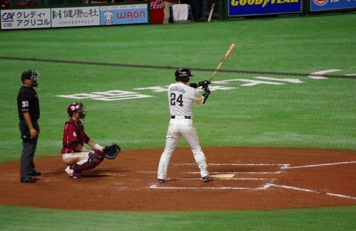 IMGP3380 (1024x664)