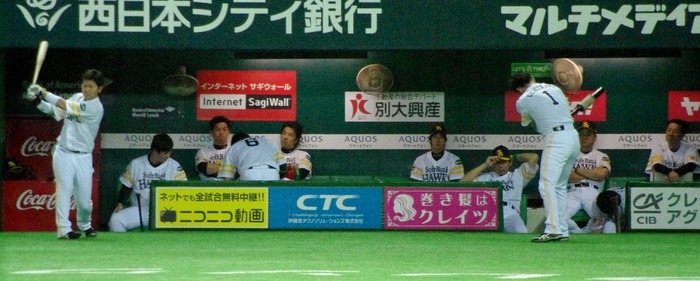 IMGP2596 (1024x411)