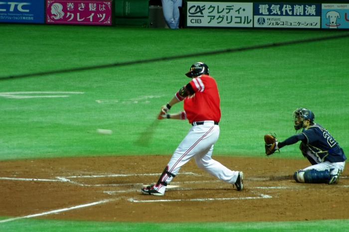 IMGP9289 (1280x850)