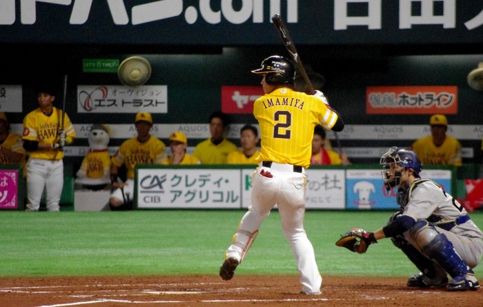IMGP0919 (1024x651)