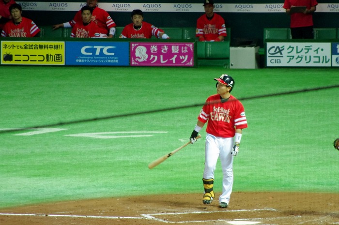 IMGP9265 (1280x850)