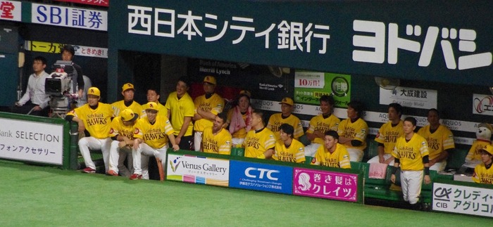 IMGP2811 (1024x473)