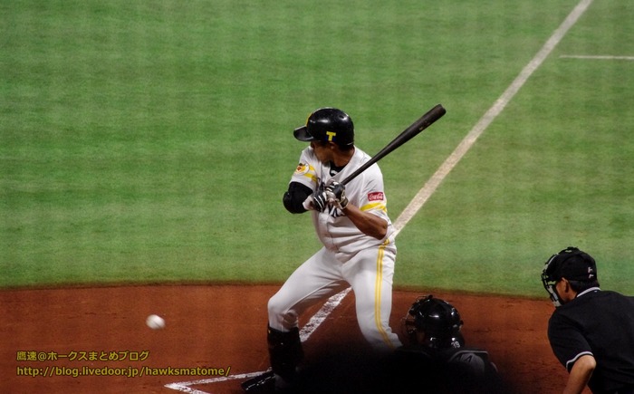 IMGP9935 (1280x795)