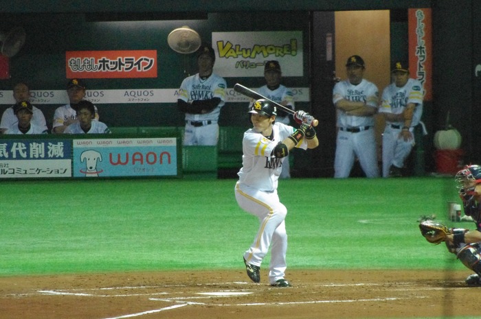IMGP8126