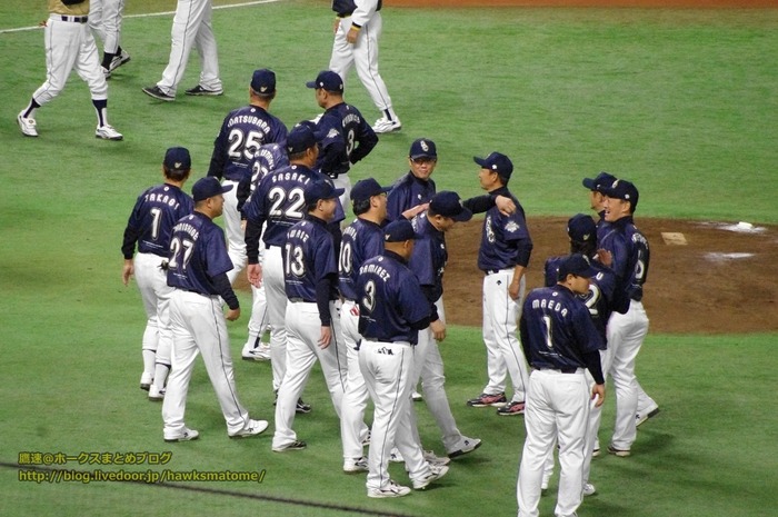 IMGP8858 (1024x680)