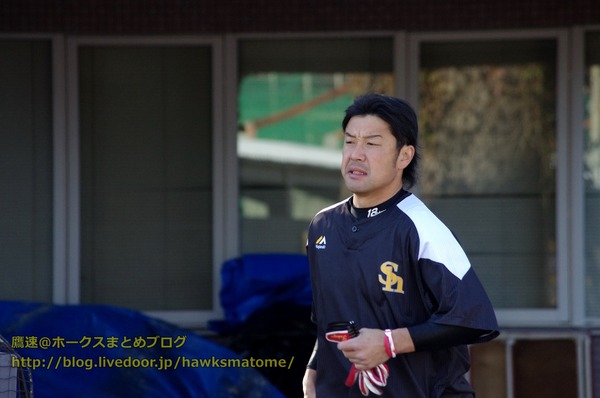 IMGP4493 (1280x850)