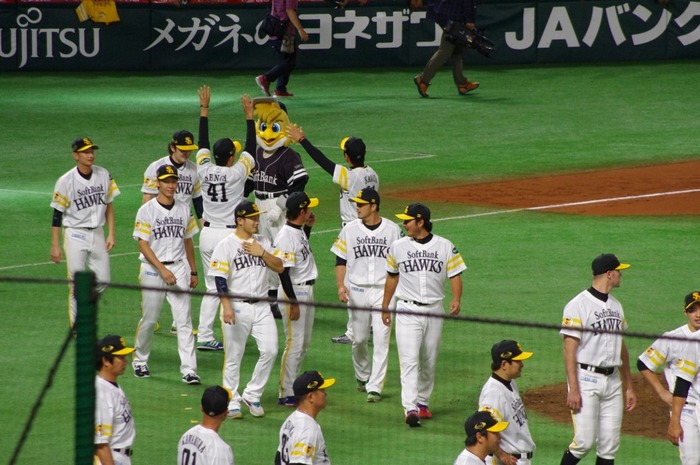 IMGP3555 (1024x680)